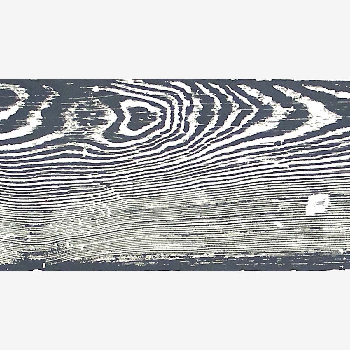 Wood grain print from a fir board found attached to building behind the Berlin wall after it tumbled.