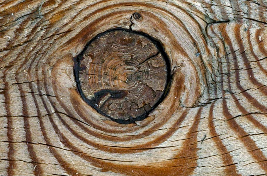 wood knot cross section motive for knitwear